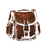 Brown backpack